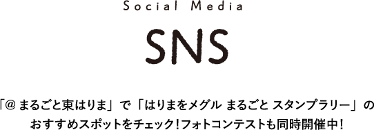 SNS