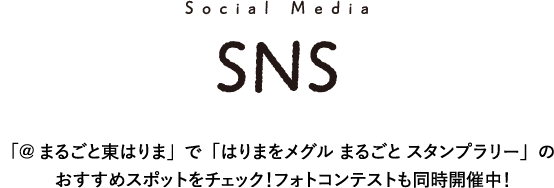 SNS